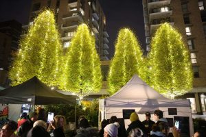 Christmas trees